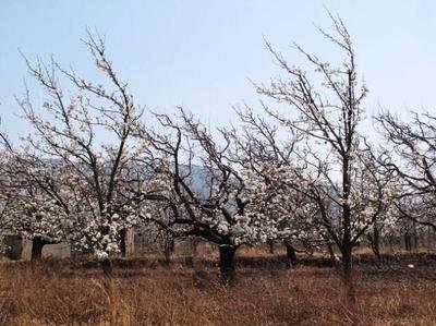 ������@������Ҫ�c