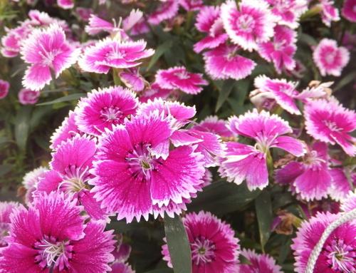 �Bֳʯ��ԓ���ʩ������ԓ����M��ˮ�ʹ�����