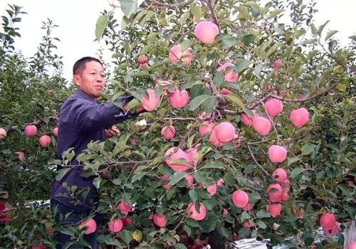 �O(p��ng)���@�����߻���Ч�����O(p��ng)���@ʩ���ʼ���