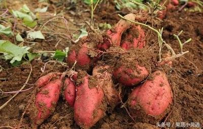 ���������Ҏ(gu��)����ʲô������ʩ������ЩҪ�c(di��n)��