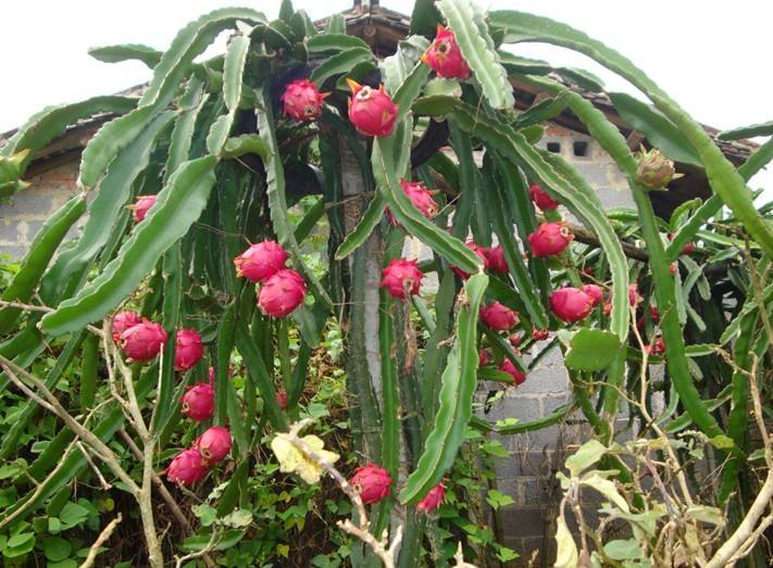 ������������ԓ���ʩ�ʣ����Ҏ����ʲô��