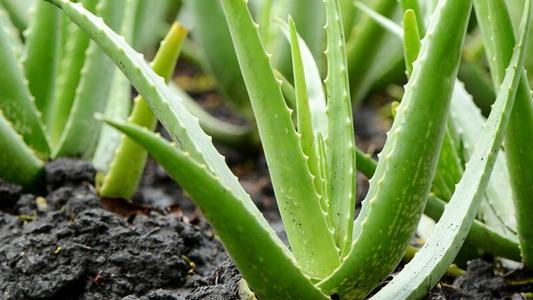 �J�C��(y��ng)ԓ��ʲô�r(sh��)��ʩ�ʣ���(y��ng)ԓ��ôʩ��