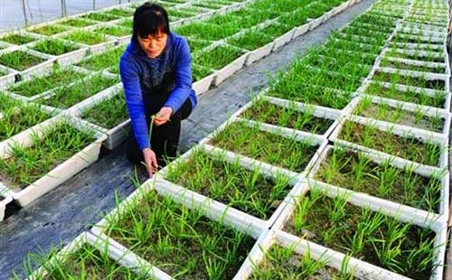 �o�����߲ˑ�ԓ����ʩ�ʣ���Ҫע��ʲô��