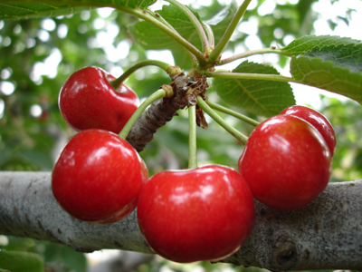 ����ҵ����������ʲô����ԓ���ʩ�ʣ�