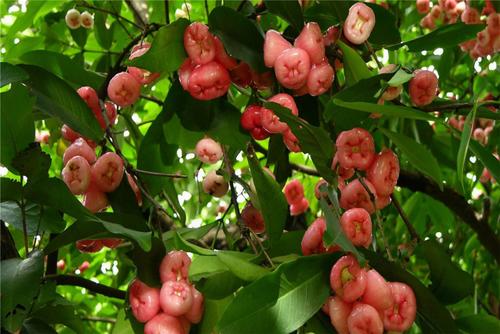 ɏ�F�����Ҏ����ʲô��ɏ�F��ԓ���ʩ�ʣ�