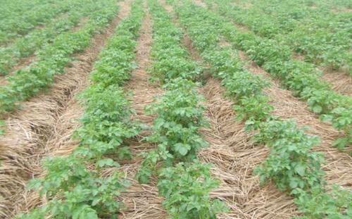 �R������ú��Ȼ���ô��ʹ�Õr(sh��)��Ҫע��ʲô��