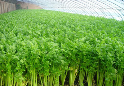 �۲�����ʩ�ʲ��ܮa(ch��n)���ߡ�Ʒ�|(zh��)�ѣ�ӛס�@���c(di��n)��