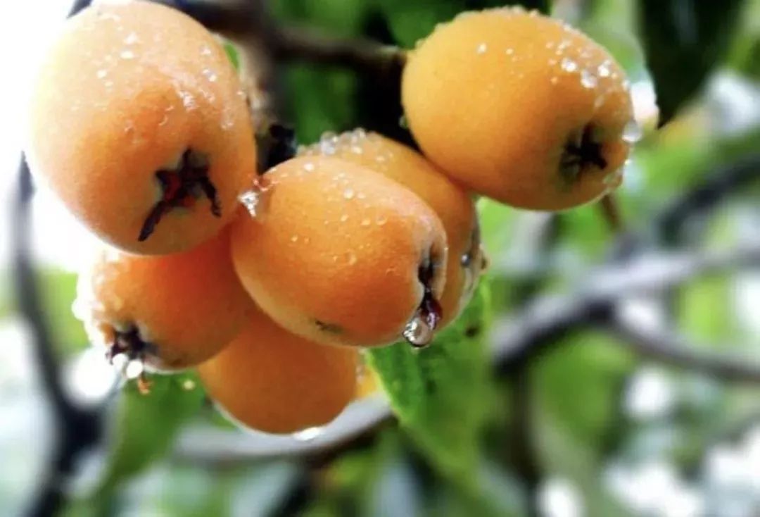 �Nֲ���ˑ�ԓ��ʲô�r��ʩ�ʣ���ԓ���ʩ�ʣ�