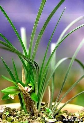 �m���~��ʑ�(y��ng)ԓ���ʩ�ʣ���Ҫע��ʲô��