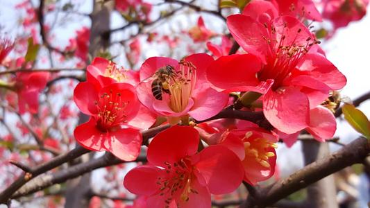 ���đ�ԓ���ʩ�ʣ�ʩ�ʕr��Ҫע��ʲô��