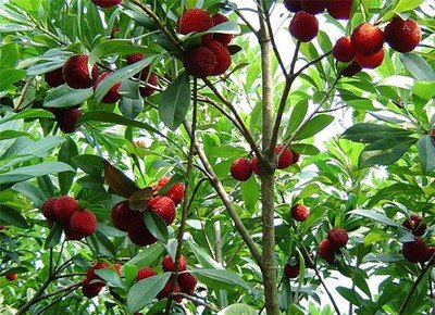 ��÷�䑪(y��ng)ԓ��ʲô�r��ʩ�ʣ���(y��ng)ԓ���ʩ�ʣ�