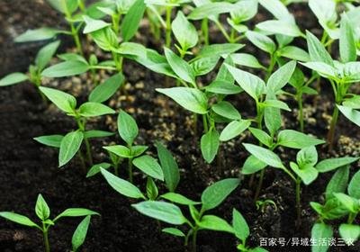 �Nֲ�𽷑�ԓ���ʩ�ʣ��𽷸߮aʩ�ʼ��g��