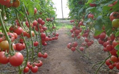 ��������ʩ�ʿ��Է����S���磿��Ҫע��ʲô��