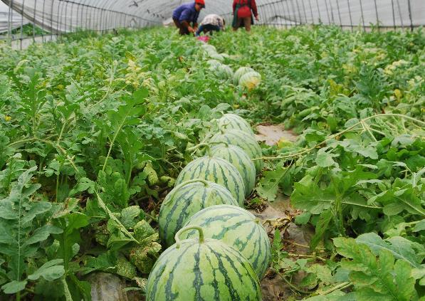 �^�����}��ʲô�ʣ���ԓ���ʩ�ã�