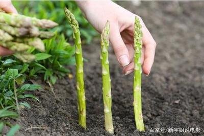 �J�S����Ҫ�L�úÑ�ԓ���ʩ�ʣ���Ҫע��ʲô��