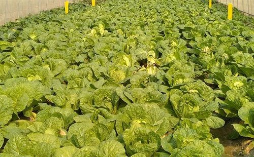 ����@ô�������Ĳ���κ����M(j��n)��Խ��������