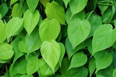 ���~�ّ�ԓ���ʩ�������~��ʩ�ʼ��g��