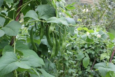 �˶������ʲô�������˶�ԓ���ʩ����