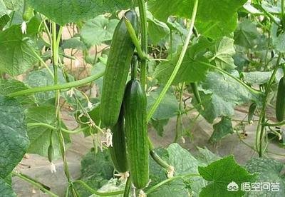 �����S�������߮a(ch��n)�����߮a(ch��n)�S������Щ����������