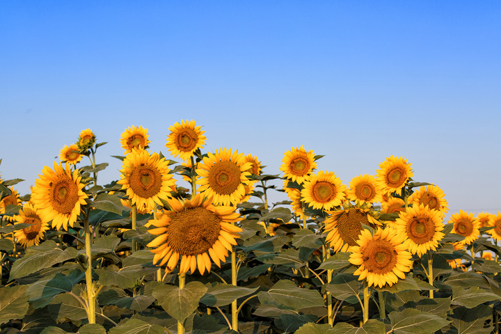 ���տ������Ҏ(gu��)����ʲô����(y��ng)ԓ���ʩ�ʣ�