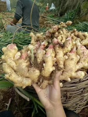 ������������c(di��n)��ʲô����(y��ng)ԓ���ʩ�ʣ�