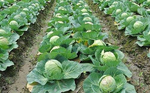 ��ˑ�(y��ng)ԓ����ʩ�ʣ���˛_ʩ��ʩ�ü��g(sh��)��