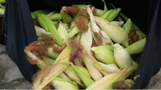 ����������ο������N������Щ���gҪ�c��