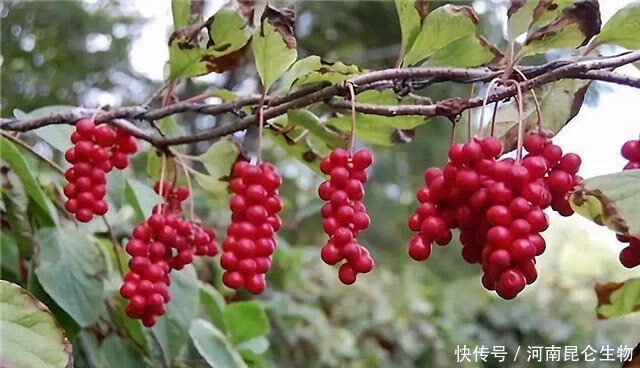 ��ζ����Ҫ���a��ԓ���ʩ�ʣ�ӛס�@���c��