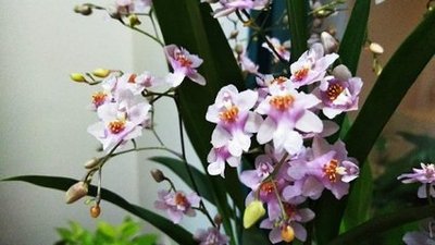 ����ʩ����Ҫע��ʲô��ӛס�@���c��