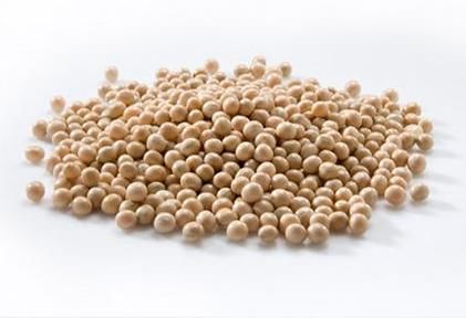 ���㶹Ҫ�������������Щ���gҪ�c��