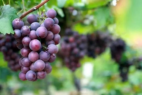 ������ʩ���ӷʵ�����ô����ԓ��ôʩ��