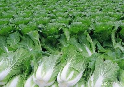 ���Ĵ�ײ��L�úÑ�ԓ���ʩ�ʣ���Ҫע��ʲô��