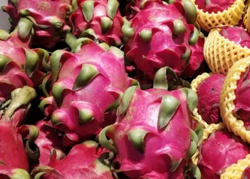 ������������(y��ng)ԓ���ʩ�ʣ�ʲô�r��ʩ��