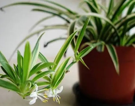 �Nֲ���@��ԓ���ʩ������Ҫע��ʲô��