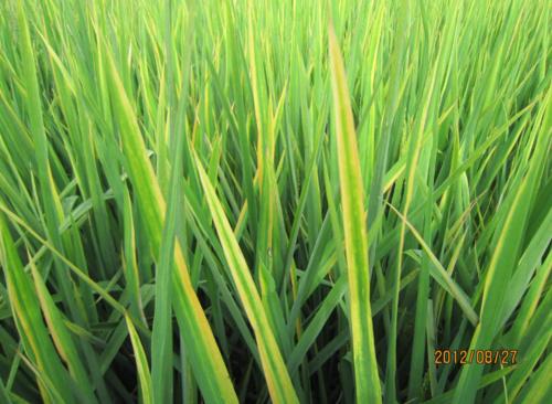 �|̦�؃�(n��i)����(du��)��������Щ���ã���Ҫע��ʲô��