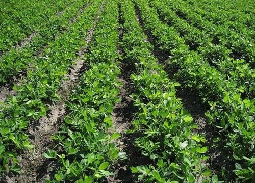 ��������Ҫ�߮a��ԓ���ʩ�ʣ�ӛס�@���c��