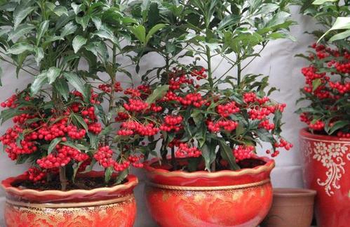 ����M�û���ԓ���ʩ�ʣ�ʩʲô�ʣ�