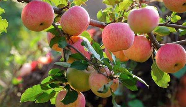 ��������ʵ͵�ԭ����ʲô����ԓ����A����