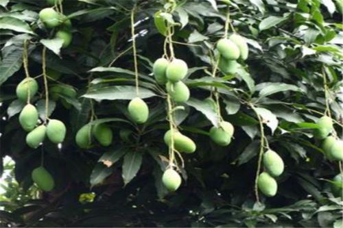 �绨â������ι�����â�����绨ԓ��ô�k��