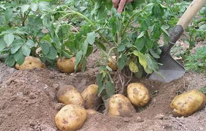 ������������c��ʲô����Ҫ�߮a��ԓ���ʩ�ʣ�