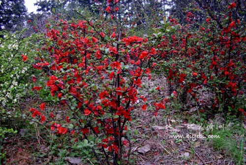 �N�����đ�(y��ng)ԓ���ʩ������Ҫע��ʲô��