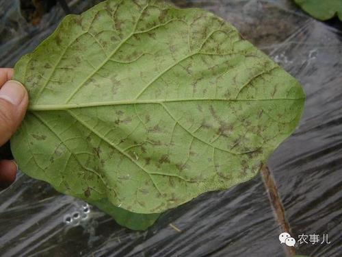 �����~�Ӱl�S��ʲôԭ����ɵģ���η�����