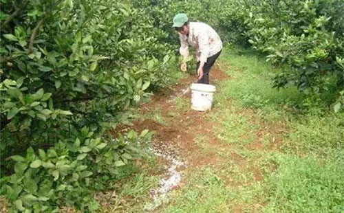 �𻨘䑪ԓ��ʲô�r��ʩ�������ʩ����