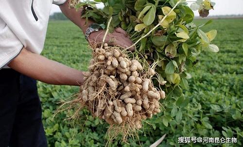 �����߮a���ķN�~��ʱ��^�ã���ԓ���ʩ�ʣ�