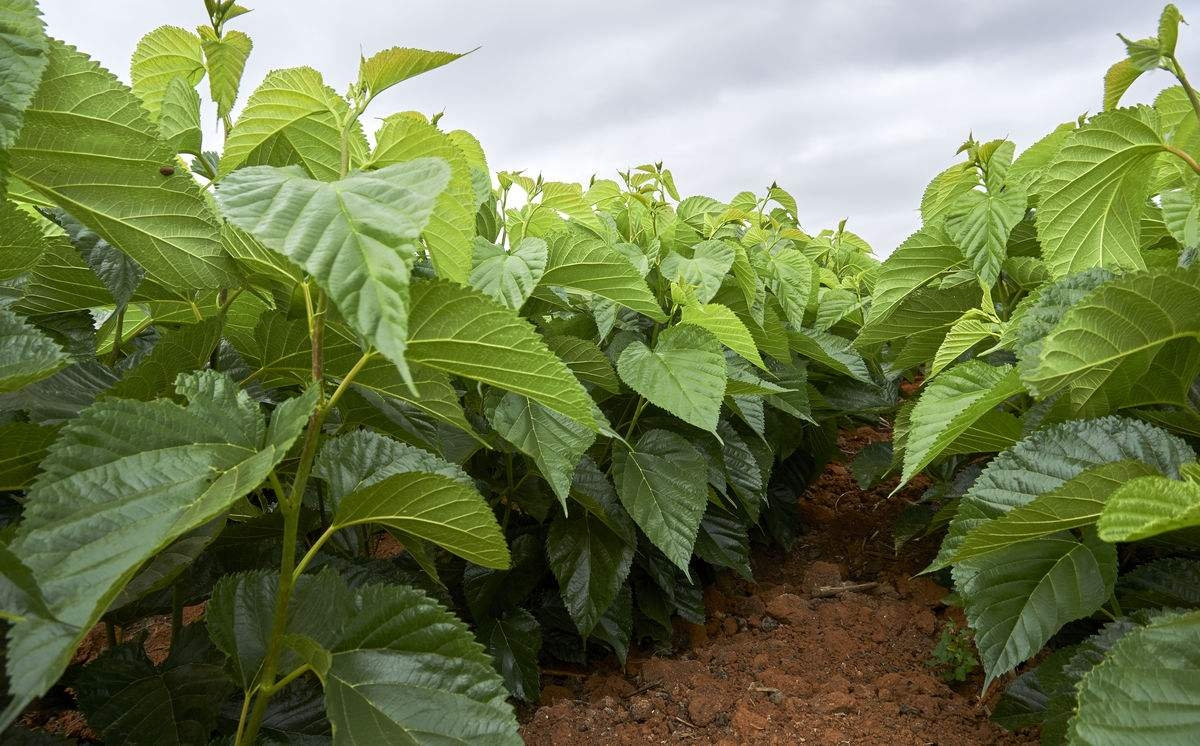 ɣ���������c��ʲô����Ҫ�߮a��ԓ���ʩ�ʣ�