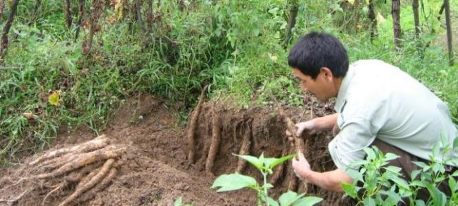 ɽˎʲô�r��׷�ʱ��^�ã���Ҫ�߮a(ch��n)��(y��ng)ԓ���ʩ�ʣ�