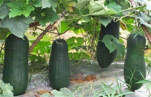 ���ϷNֲԓע����Щ���}�������߶�����������