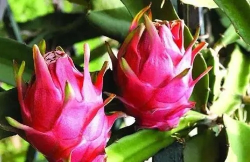 ��������Ҫ�߮a��ԓ���ʩ�ʣ���Ҫע��ʲô��