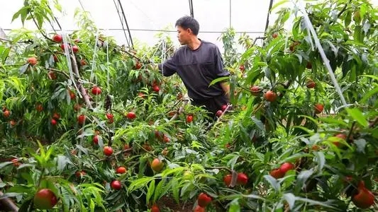 �������ґ�ԓ���ʩ�ʣ���Ҫע��ʲô��