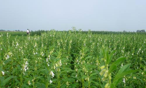 ������ʲô���ϣ�����������ʲô��